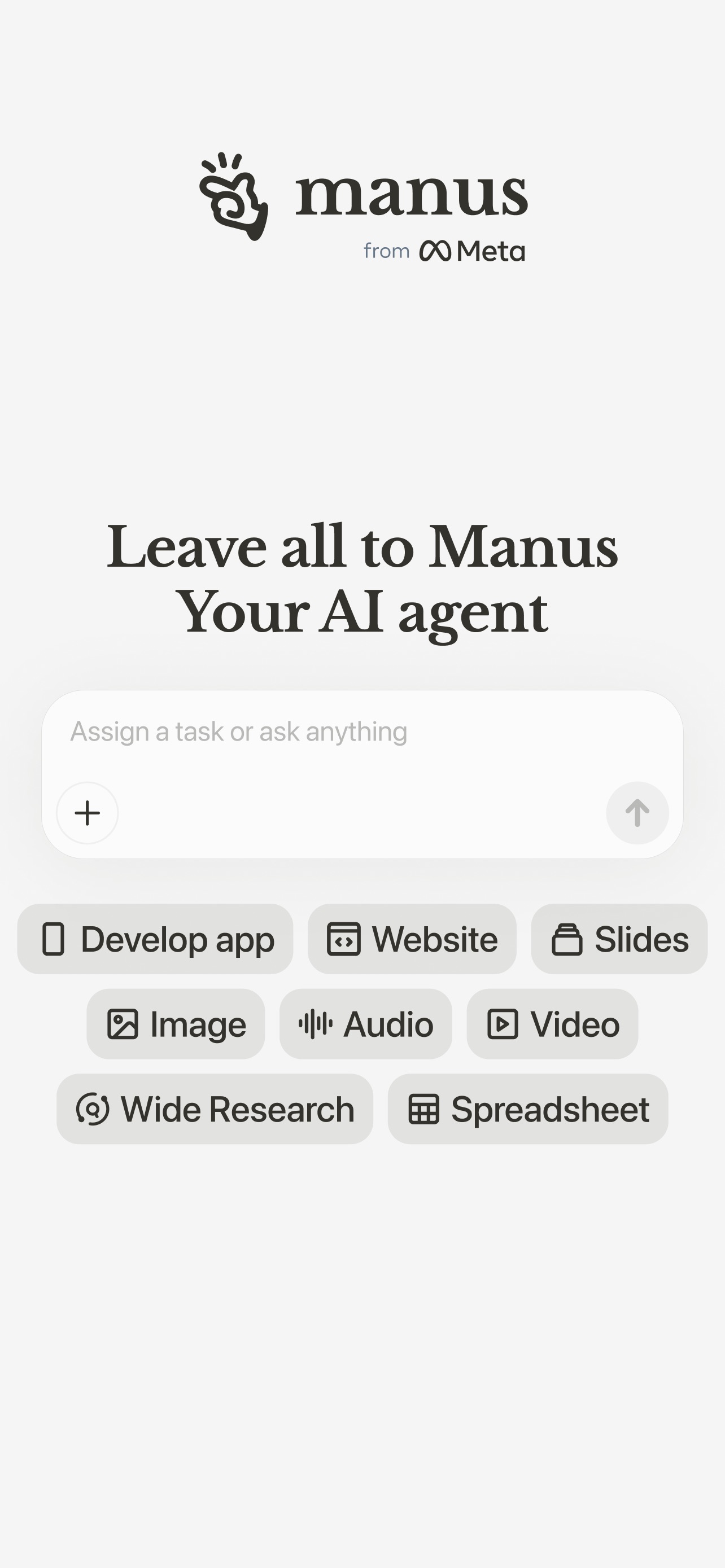 Manus screenshot 1
